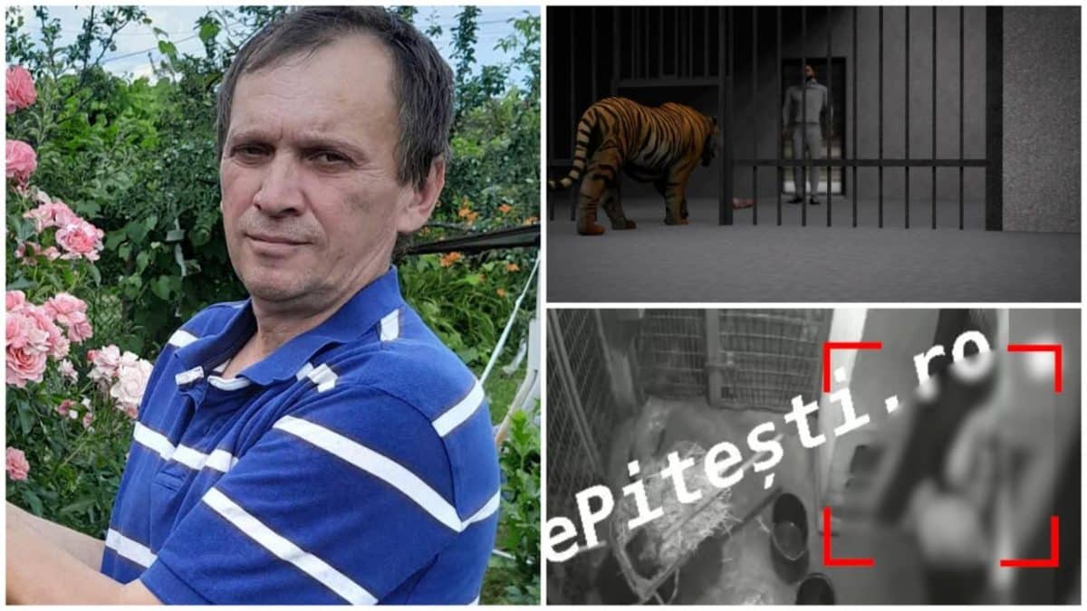 Un tigru atacă fatal un angajat al grădinii zoologice în timp ce curăța cușca animalului, conform oficialilor. descoperă povestea uimitoare a tigrelor și a atacurilor lor fatale în sălbăticie. află cum aceste feline puternice își vânează prada și impactul pe care îl au asupra ecosistemului.
