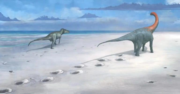 200 de urme de dinozaur dezvăluie un colos din Jurassic: aceste descoperiri uluitoare rescriu istoria Marii Britanii