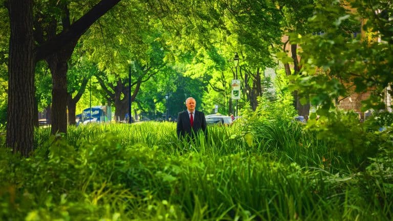 București amenință cu o amendă colosală de 350 milioane EUR: Lupta pentru salvarea parcului IOR continuă!