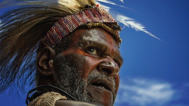 O specie misterioasă lasă moștenire ADN-ul său uimitor în genele umanității moderne: o revelație de proporții