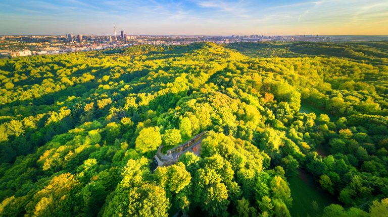 Brașovul se pregătește să uimească lumea cu primul traseu spectaculos printre vârfurile copacilor din România, un mega-proiect turistic inovator