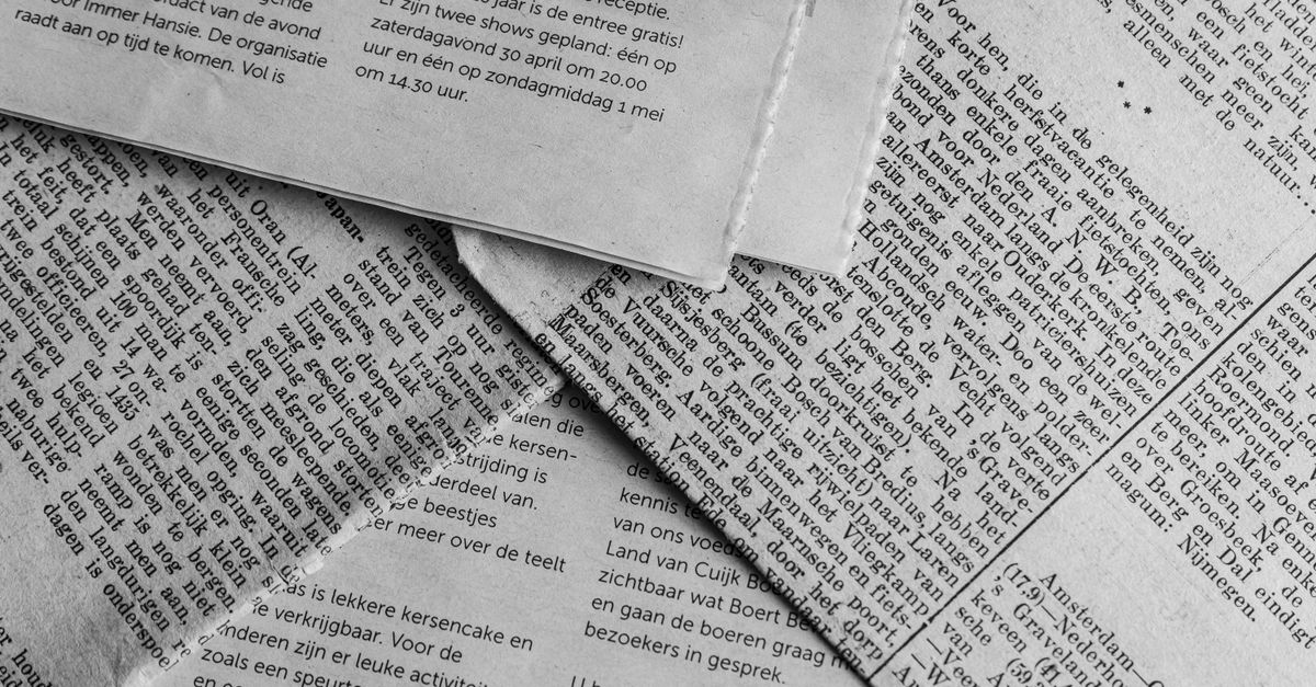 „Bucureștiul cucerește Milano”: această expoziție de artă românească la miart 2025 uimește lumea culturală internațională newspaper world news