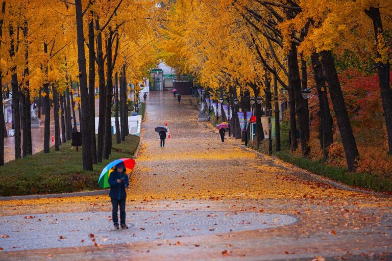 După 30 de grade în sud, ANM anunța un val de aer rece cu ploi și ninsori la munte